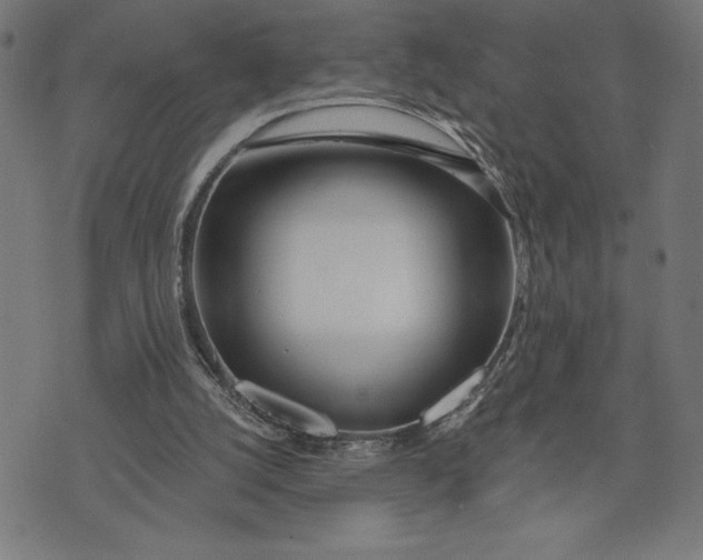 X0000073520056200608211815