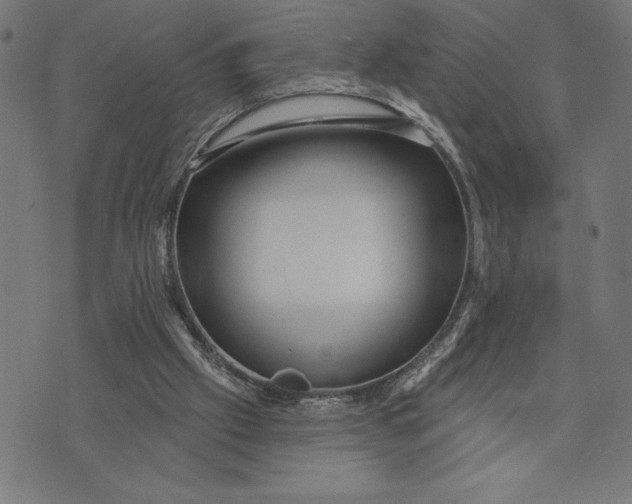 X0000073520057200608211815