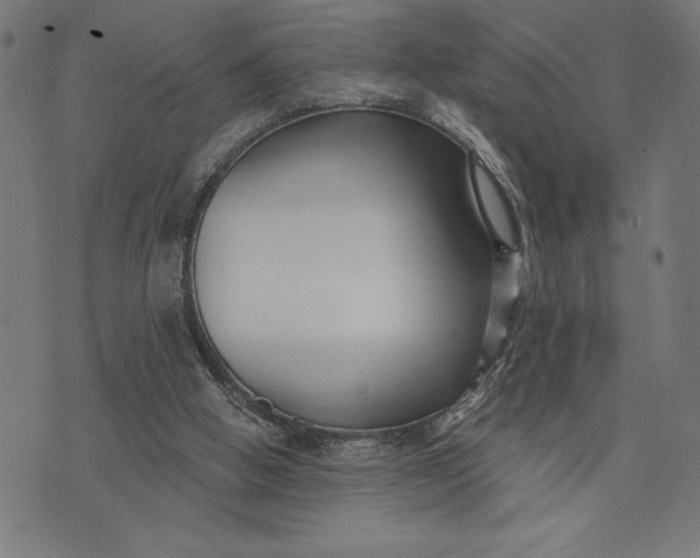 X0000073520058200608211815