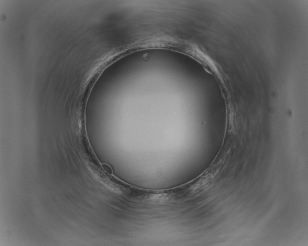 X0000073520059200608211815