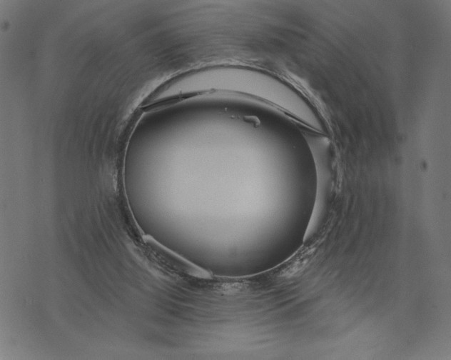 X0000073520060200608211815