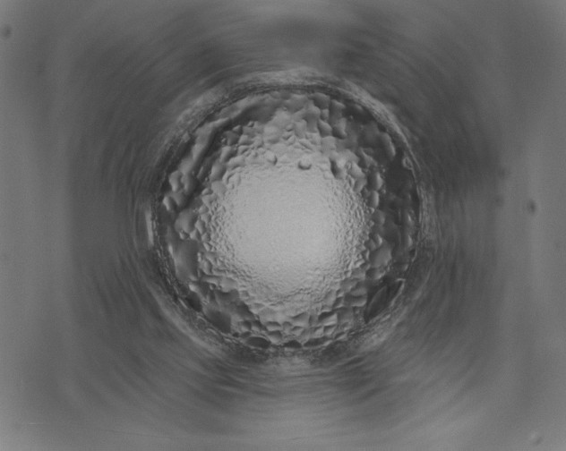 X0000073520061200608211815