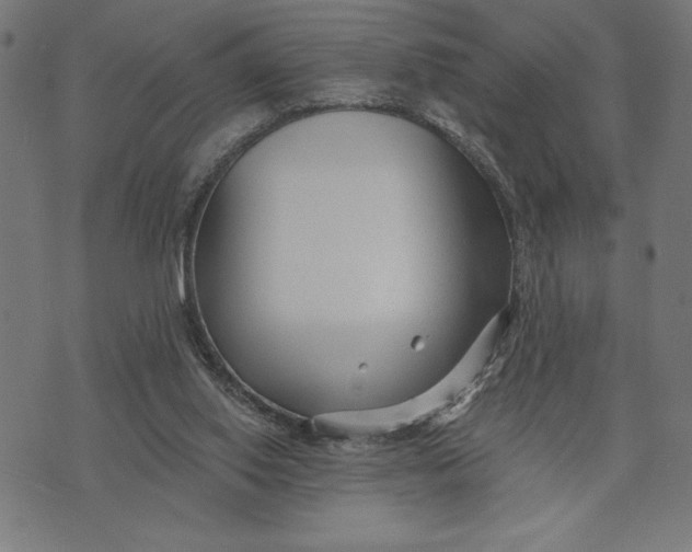 X0000073520062200608211815