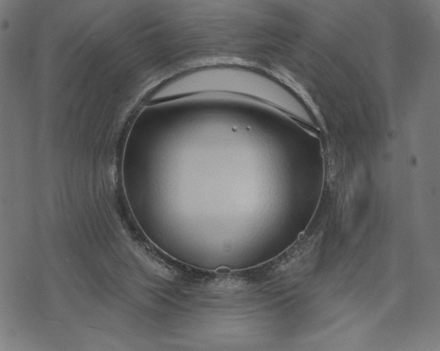 X0000073520063200608211815