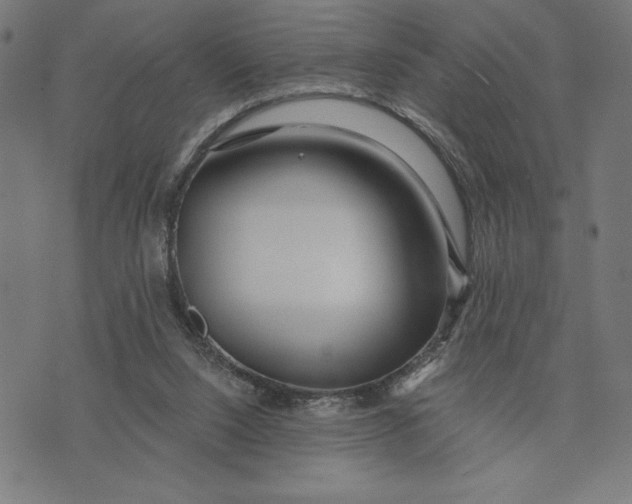 X0000073520064200608211815