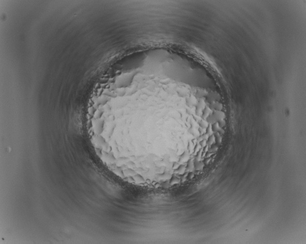 X0000073520065200608211815