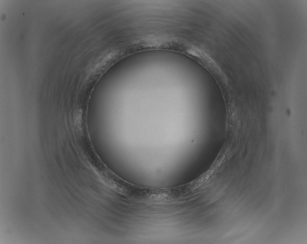 X0000073520066200608211815