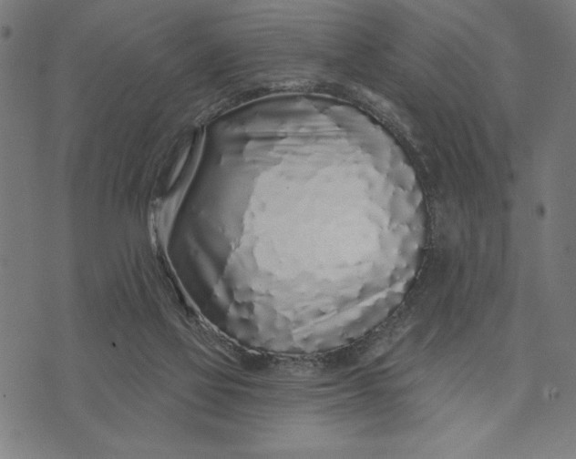 X0000073520069200608211815