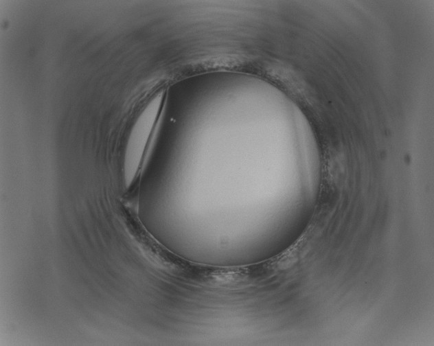 X0000073520070200608211815