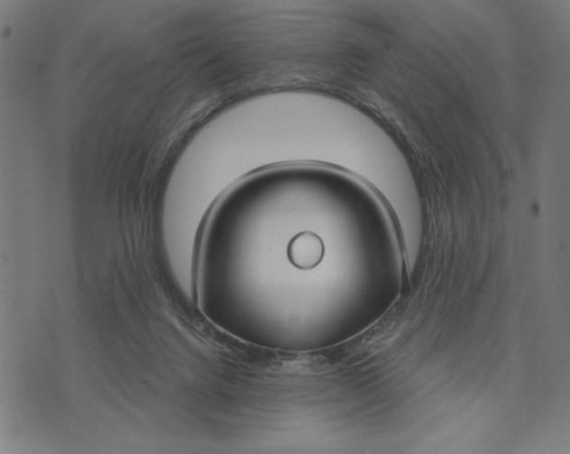 X0000073520072200608211815