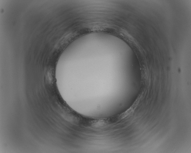 X0000073520074200608211815