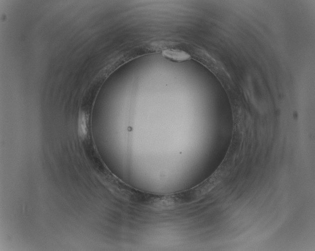 X0000073520075200608211815