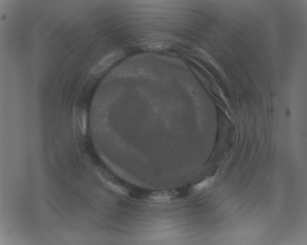 X0000073520076200608211815