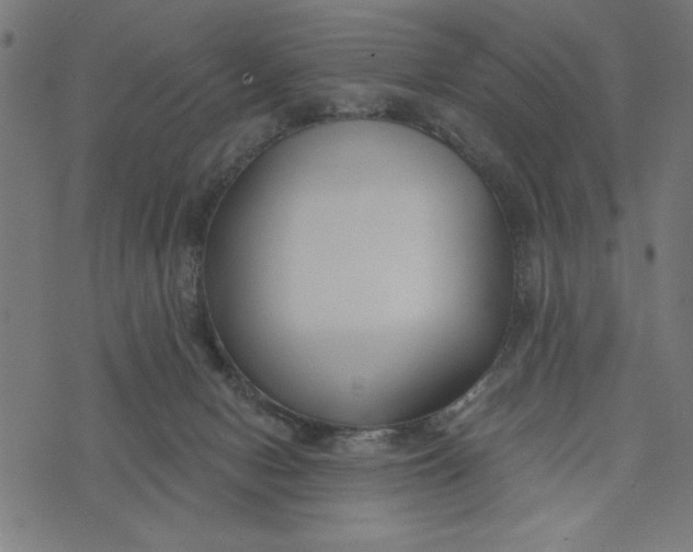 X0000073520078200608211815