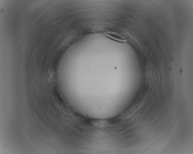 X0000073520079200608211815