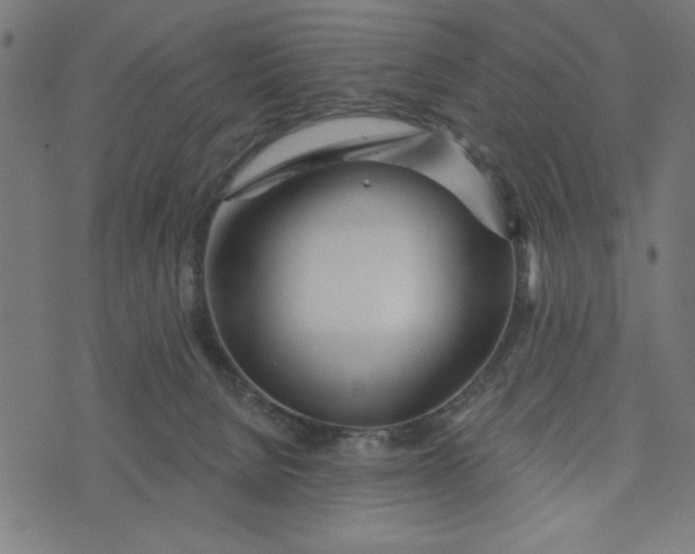 X0000073520080200608211815