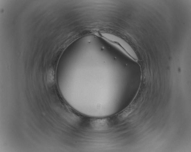 X0000073520081200608211815