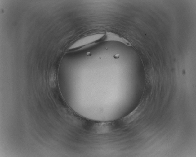 X0000073520082200608211815