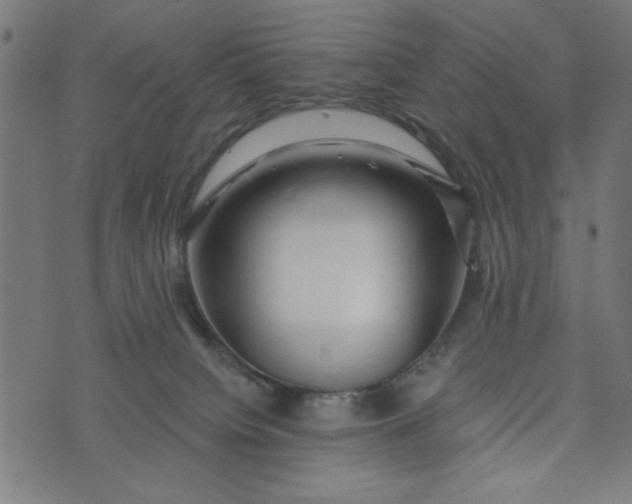 X0000073520084200608211815