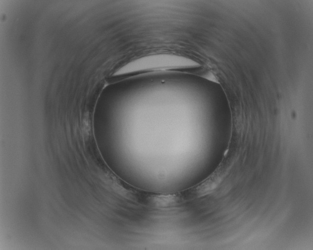 X0000073520085200608211815