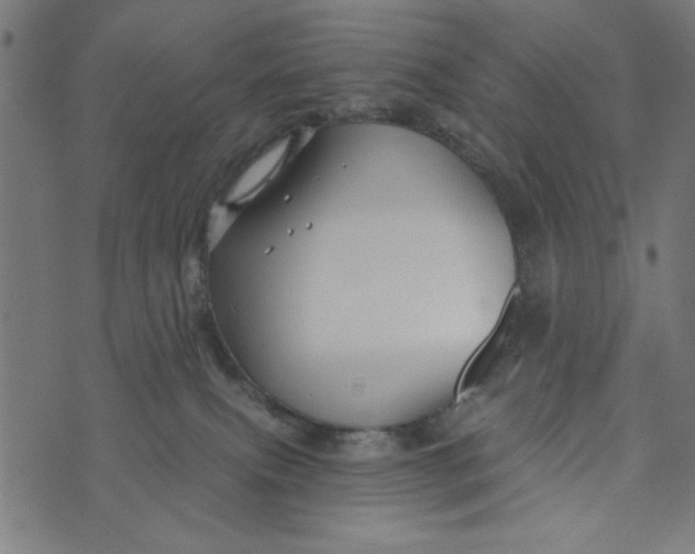 X0000073520087200608211815