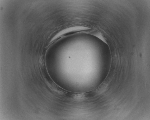 X0000073520088200608211815