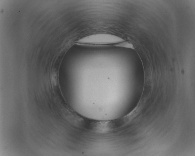 X0000073520090200608211815