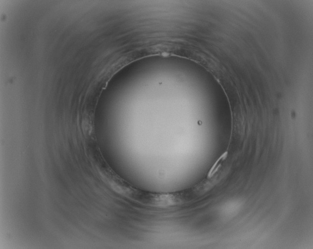 X0000073520091200608211815