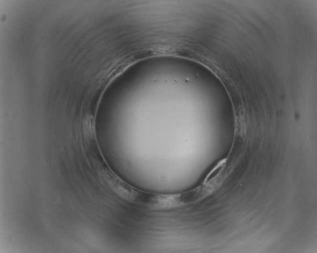 X0000073520093200608211815