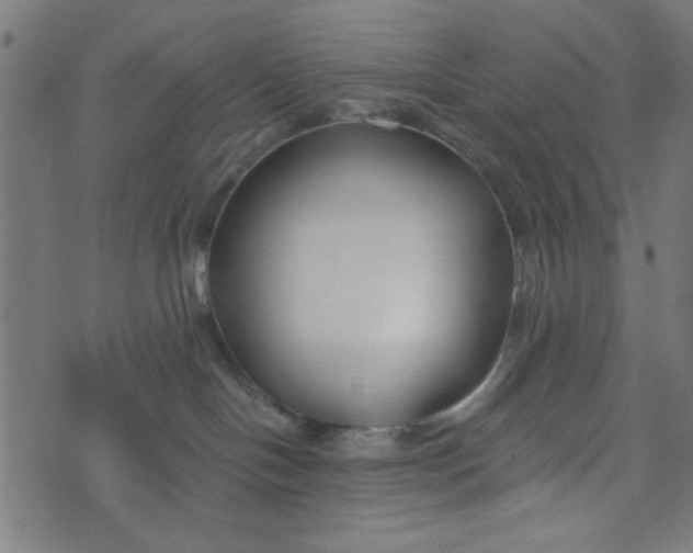 X0000073520094200608211815