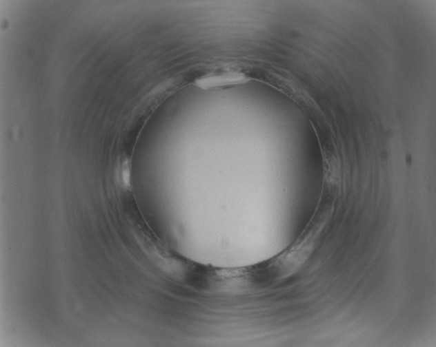 X0000073520095200608211815