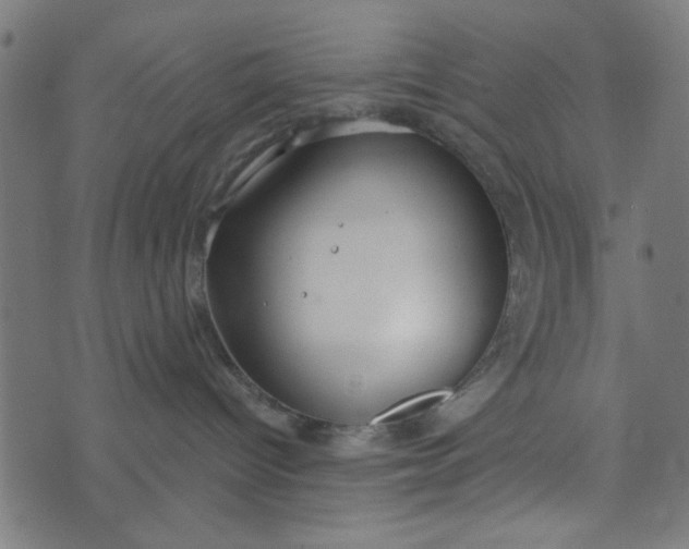 X0000073520096200608211815