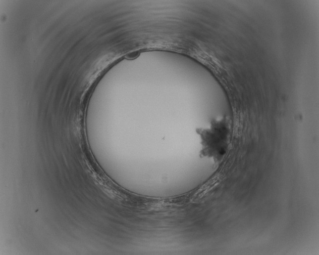 X0000073520098200608211815