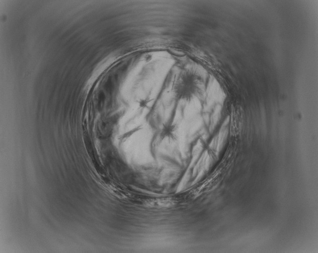 X0000073520099200608211815