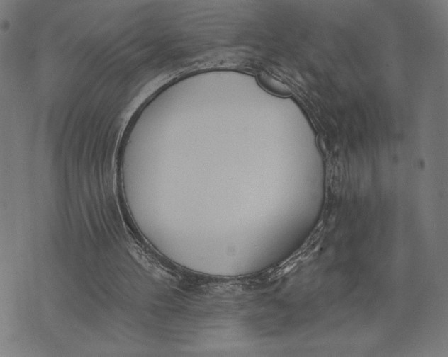 X0000073520100200608211815