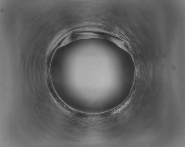 X0000073520101200608211815