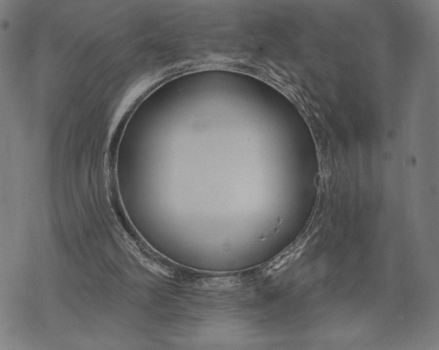 X0000073520102200608211815