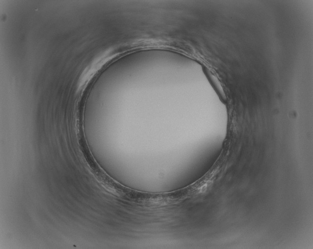 X0000073520103200608211814