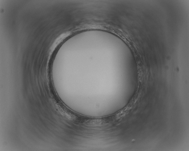 X0000073520104200608211814