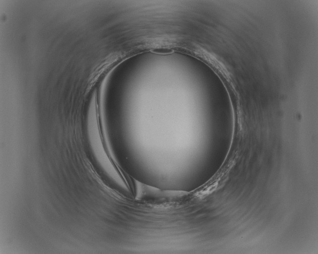 X0000073520105200608211814