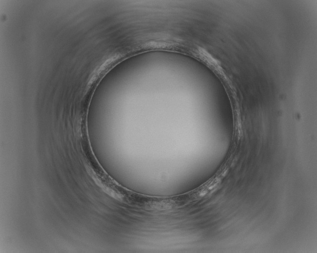 X0000073520106200608211814