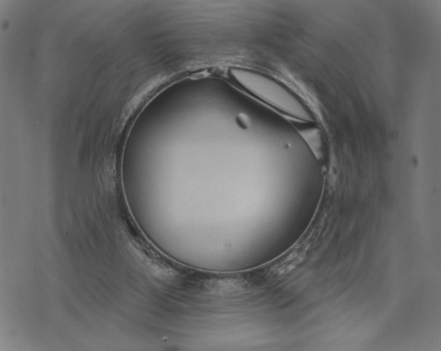 X0000073520107200608211814