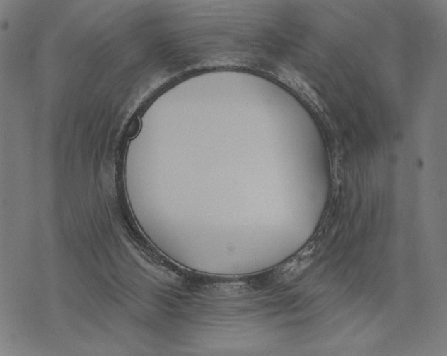 X0000073520108200608211814