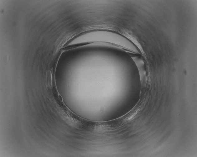 X0000073520109200608211814