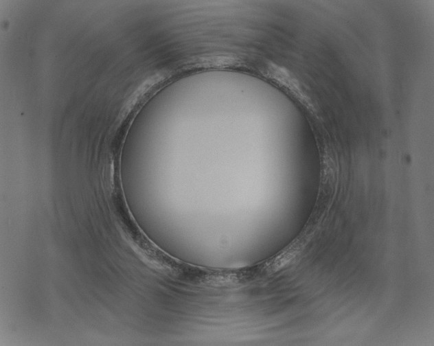 X0000073520110200608211814