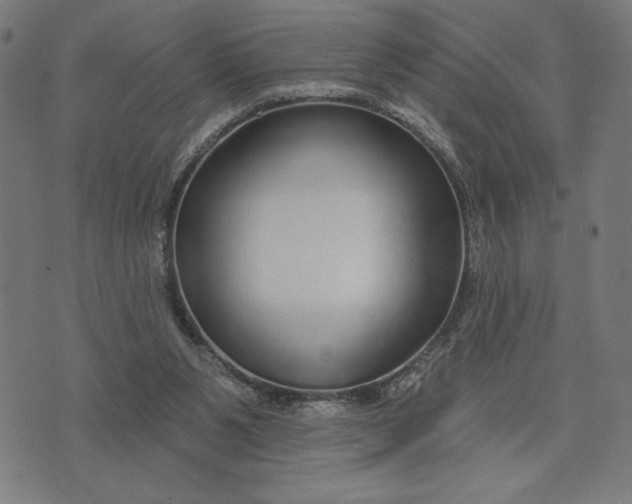 X0000073520111200608211814