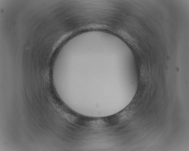 X0000073520112200608211814