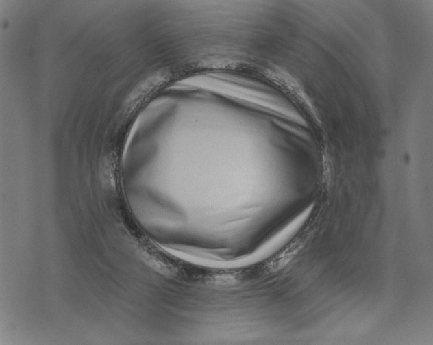 X0000073520114200608211814