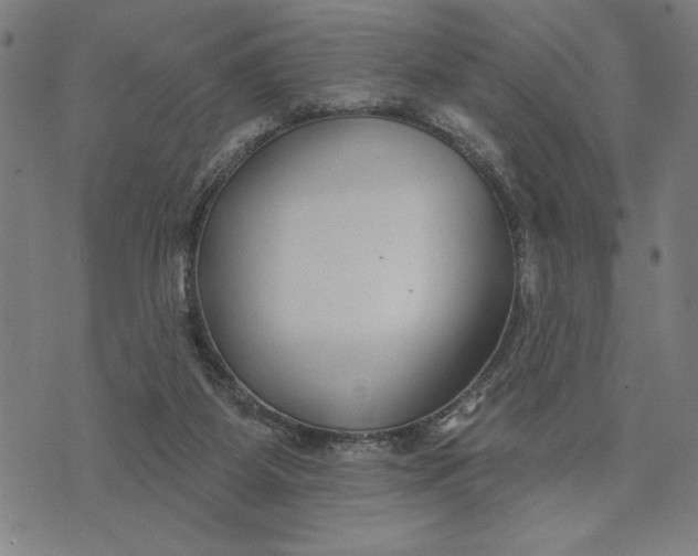 X0000073520115200608211814