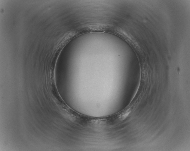 X0000073520117200608211814